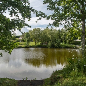 Redwell   17 06 2020   D500   Les 420.jpg